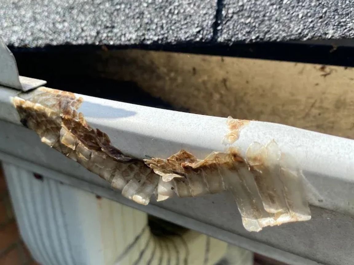 Gutter Cleaning Greensboro NC