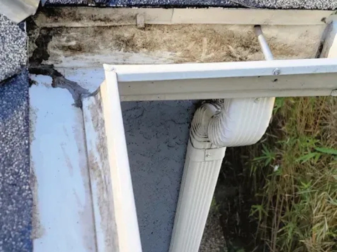 Emergency Gutter Cleaning Greensboro